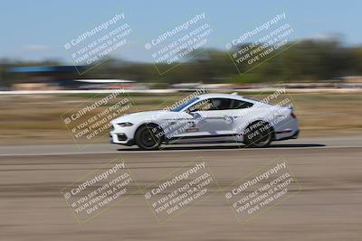 media/Oct-04-2025-OnGrid (Sat) [[44bd565ffa]]/Purple Group/Grapevine/